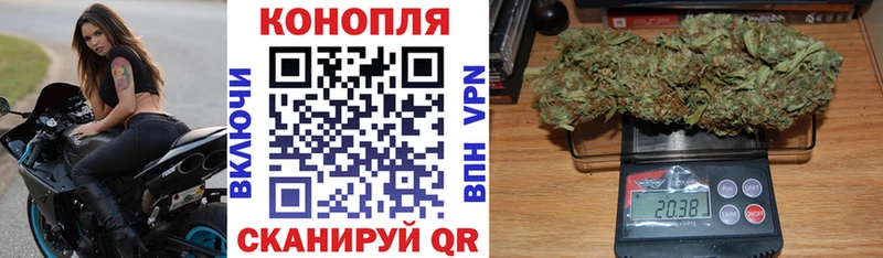 Какие есть наркотики Луза ГАШИШ  МЕТАДОН  Псилоцибиновые грибы  МЕФ  mega сайт  APVP 
