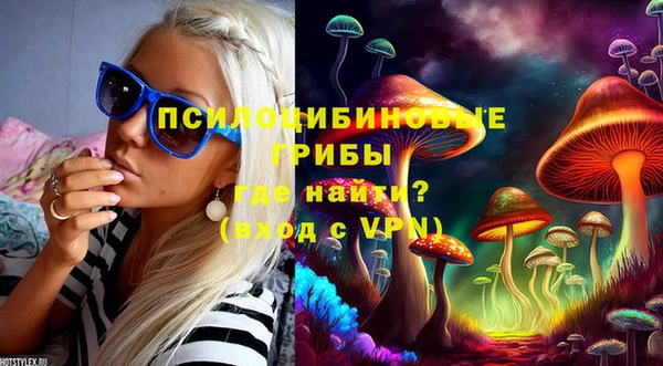 крисы Пересвет