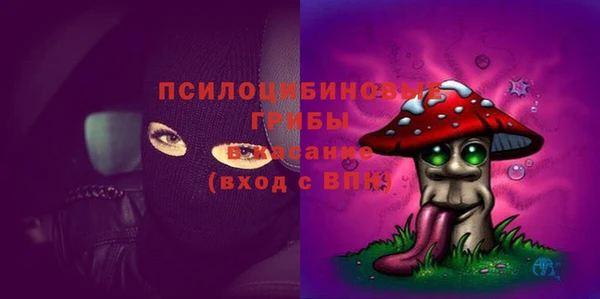 МДПВ Заволжье