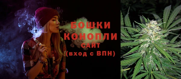 прущая мука Галич