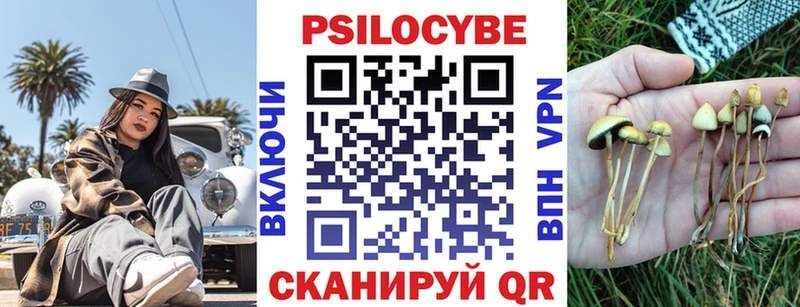 Галлюциногенные грибы мицелий  гидра зеркало  Луза  наркота 